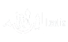 Logo Mobiel uitwijkdatacenter voor zorgorganisatie LENTIS draait vlekkeloos