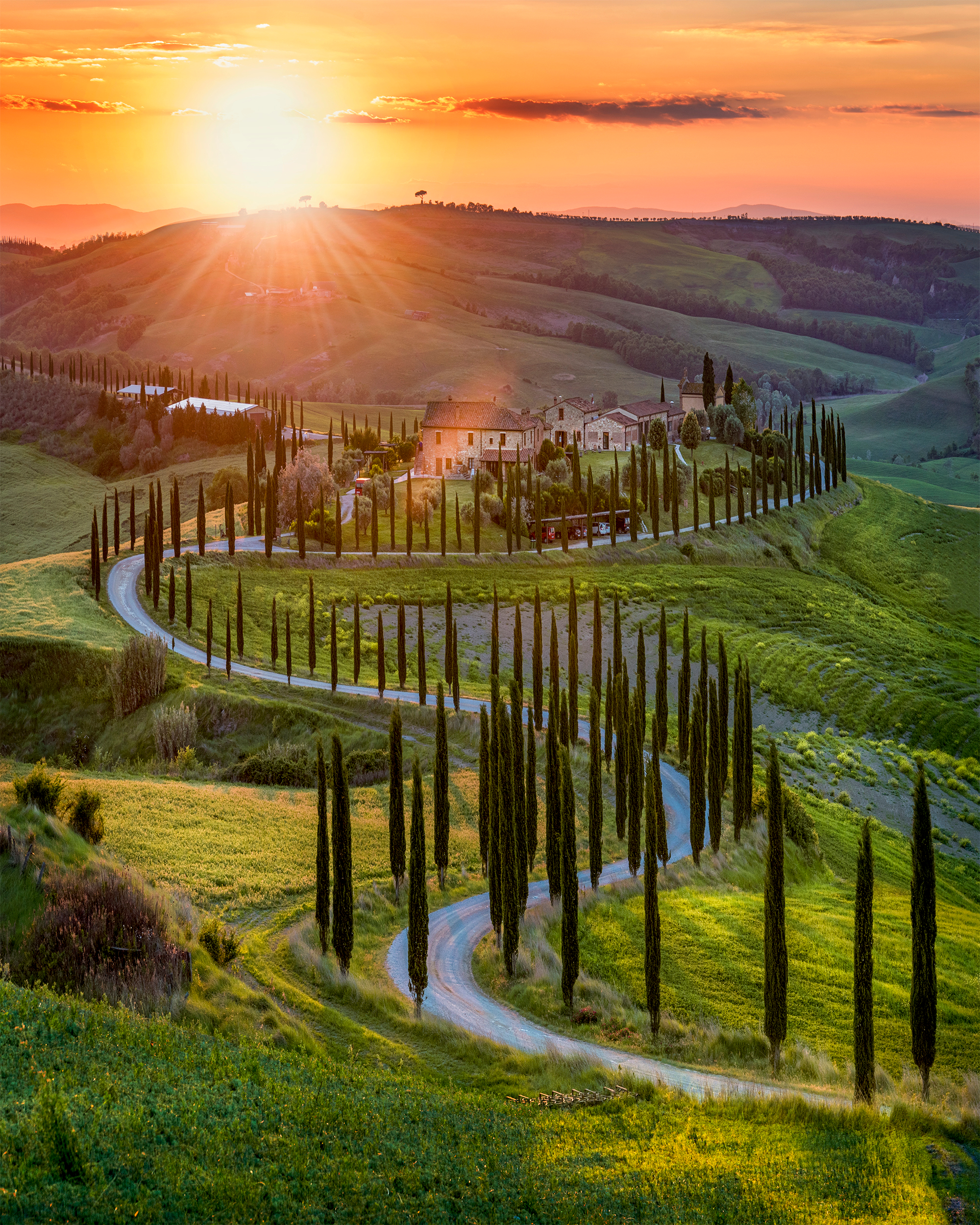 https://www.minkels.com/images/IgyKa/shutterstock_1232443255.jpg