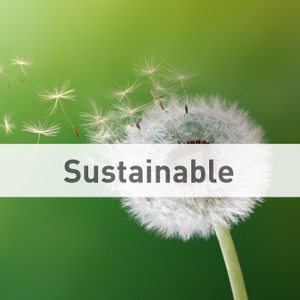 Nexpand Sustainable